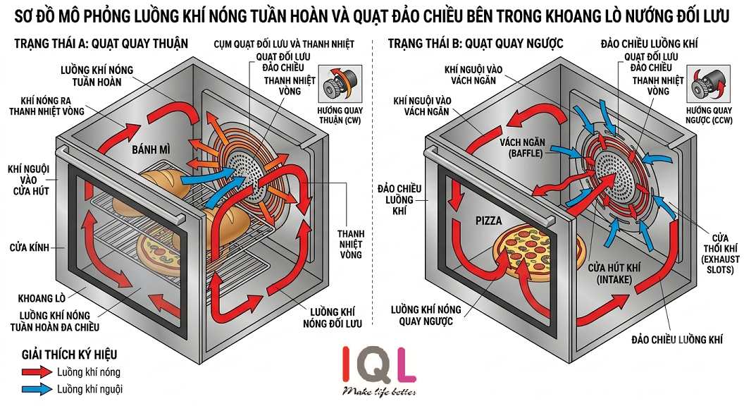Sơ đồ mô phỏng luồng khí nóng tuần hoàn và quạt đảo chiều bên trong khoang lò nướng đối lưu