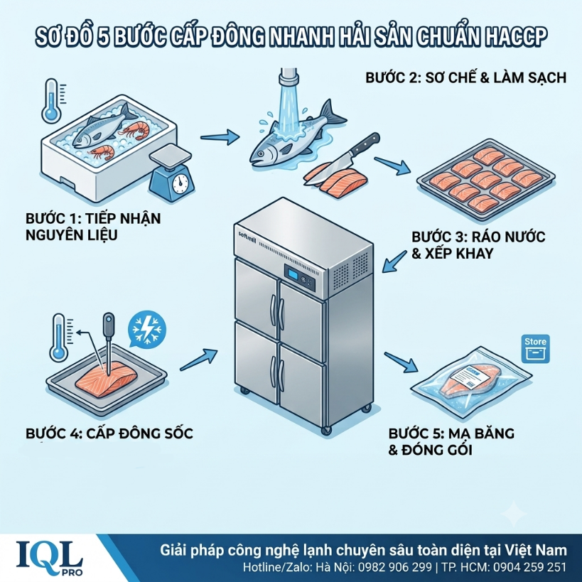 Quy trình 5 bước cấp đông nhanh hải sản: tôm, cá, mực,...